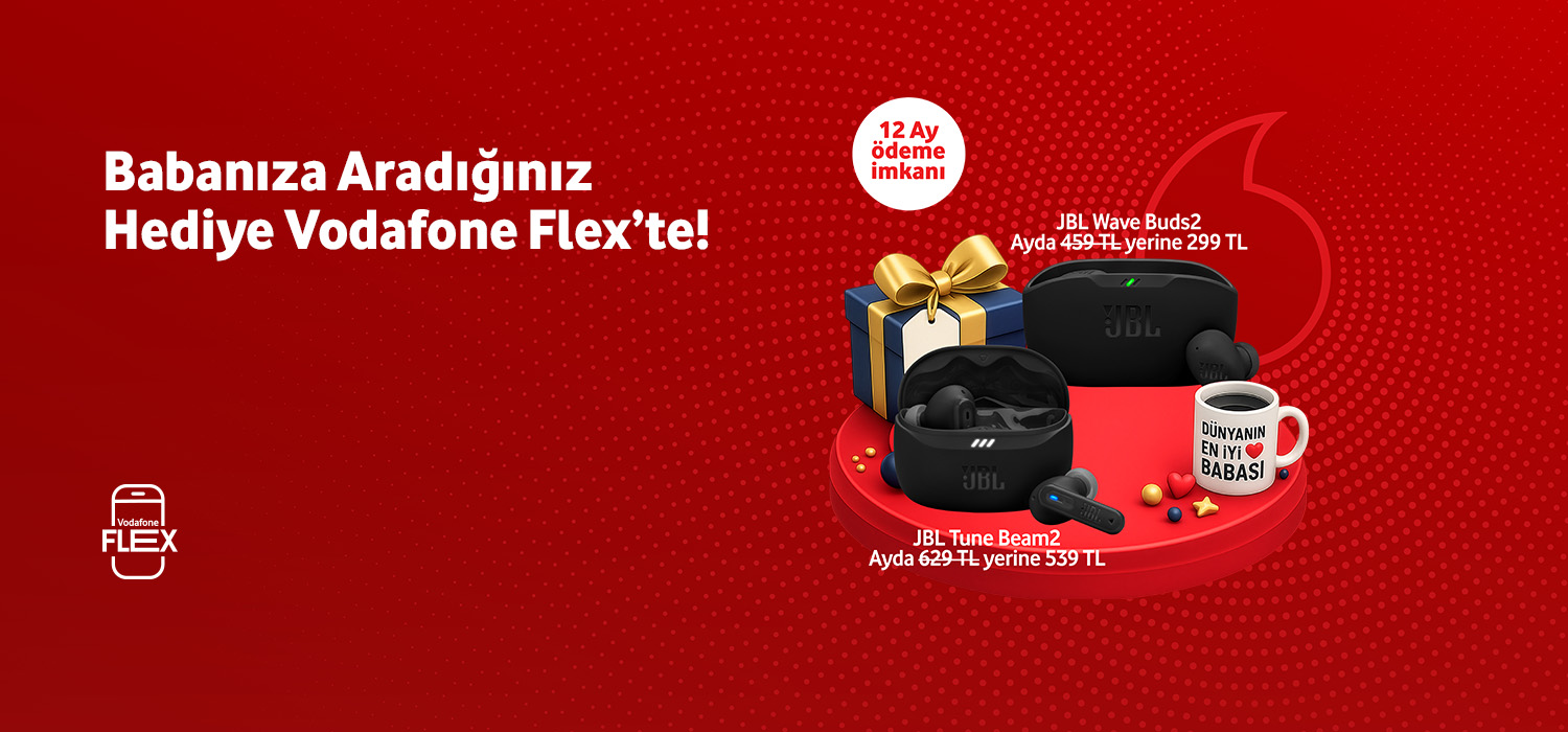 Babalar günü JBL kulaklıklar - aksesuarlartab