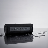 Xiaomi Mi Portable Bluetooth Speaker (16W)