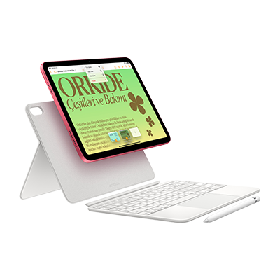 Apple iPad 10.Gen 10.9inch WiFi+Cell