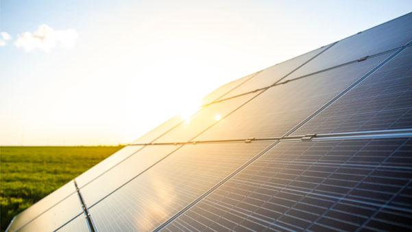 WWF : Emisyon Raporlaması Nedir ve Neden Önemlidir?