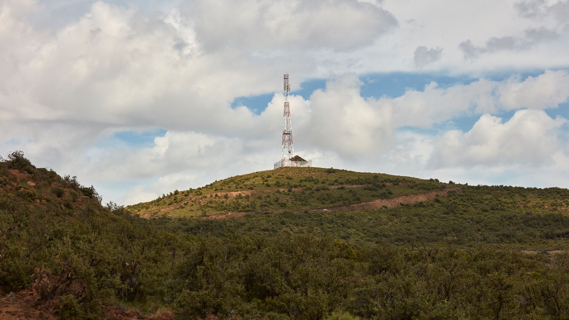 İşletmenizin Adımları: Sürdürülebilirlik ve Çevresel Öncelik