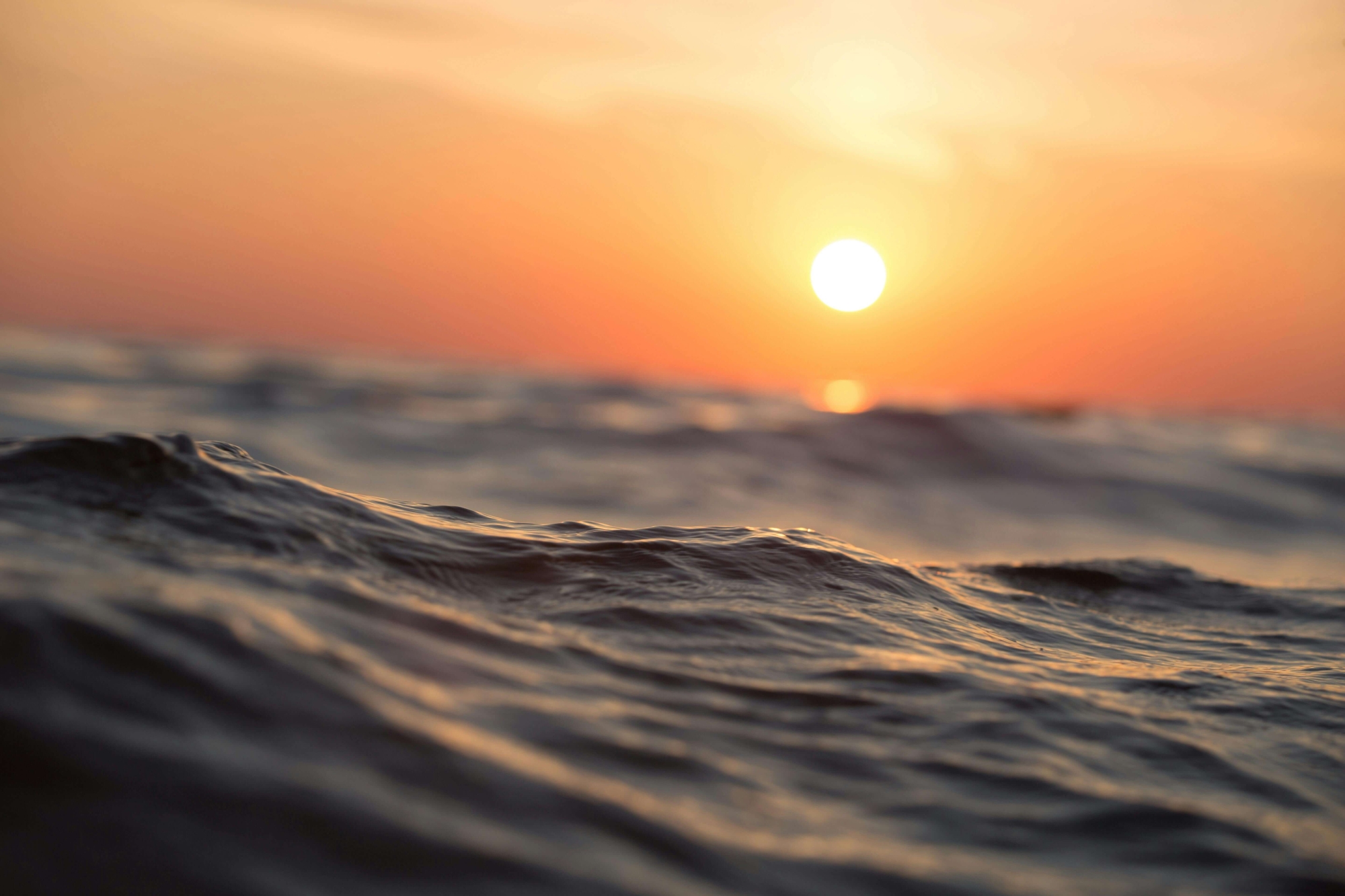 Bodrum'un En Ünlü Plajları ve Beach Fiyatları