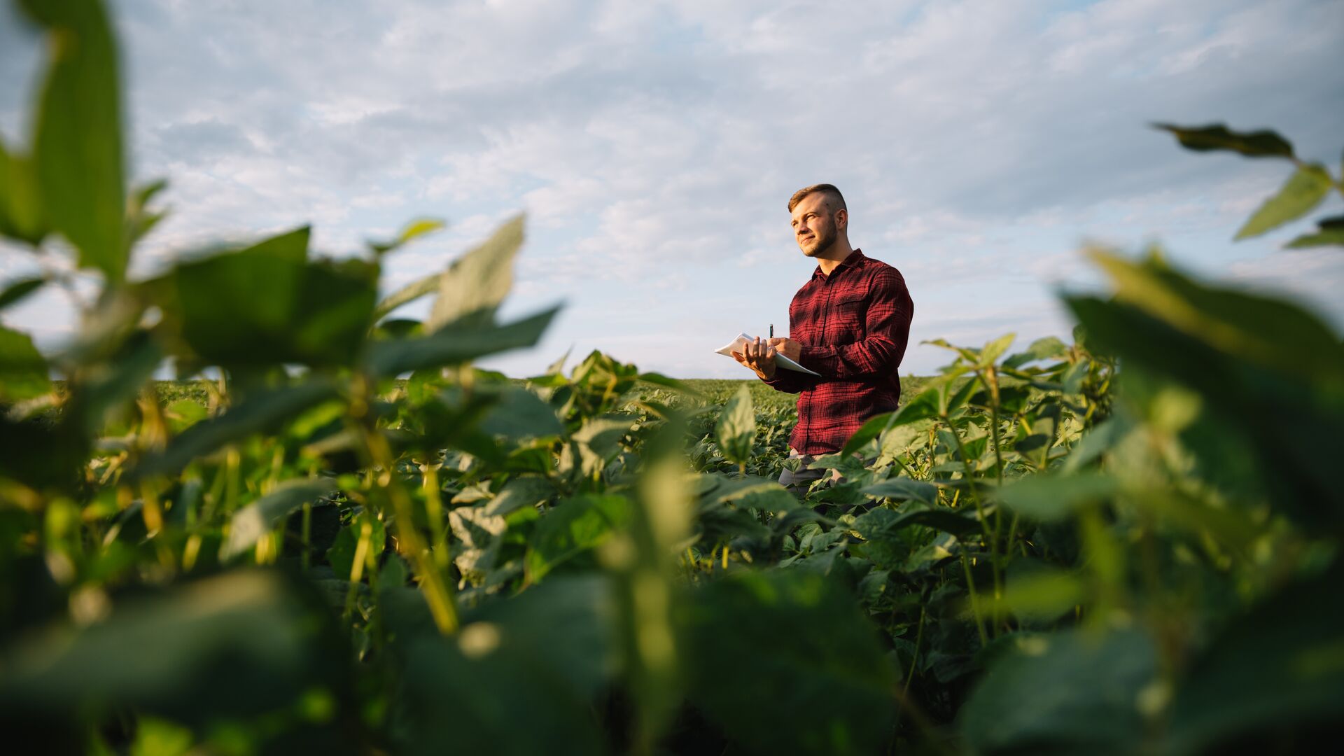 Tarımı Dönüştüren Yapay Zeka Yenilikleri