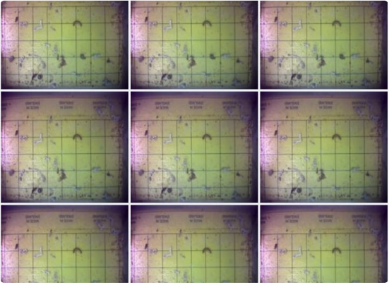 Feromon Kamerası-Tuzağı