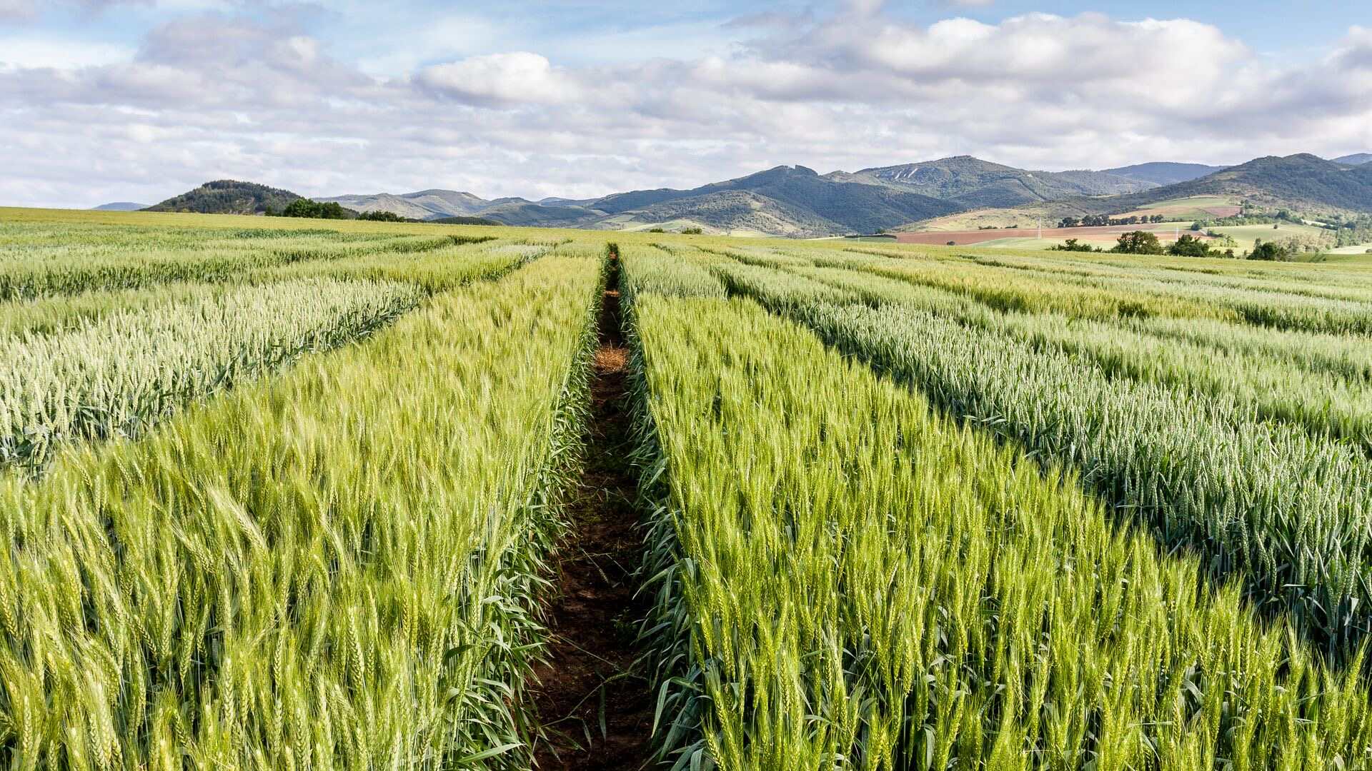 Vodafone Red Enerji ile Kurumsal Sürdürülebilirlik Hedeflerinize Ulaşın