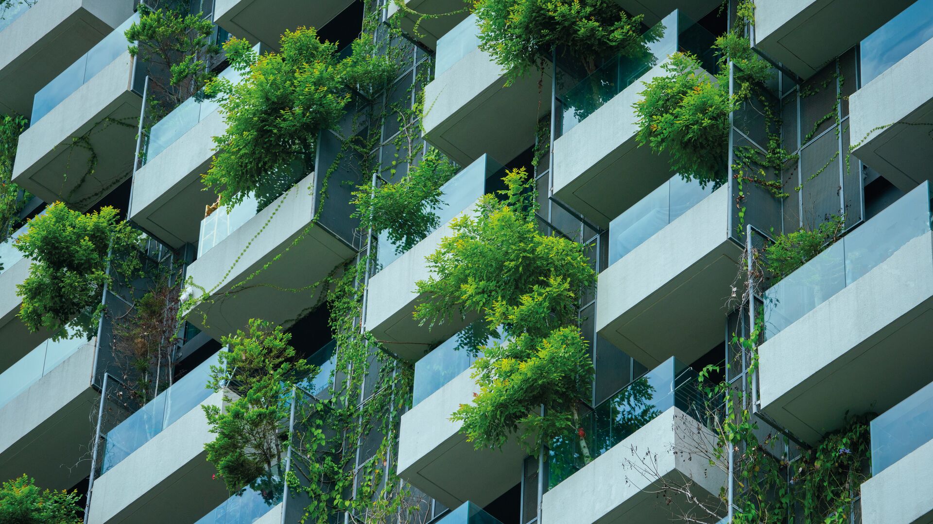 Telekom Ağlarını Sürdürülebilir Bir Gelecek İçin Regüle Etmenin Önemi