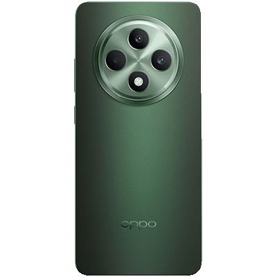 OPPO Reno11 FS 8GB