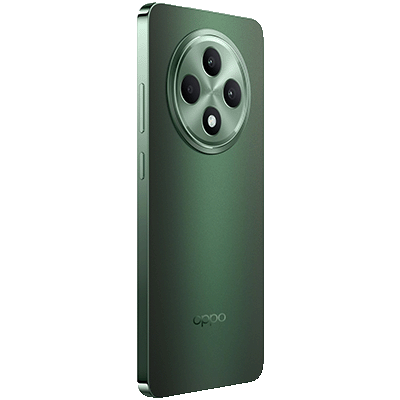 OPPO Reno11 FS 8GB