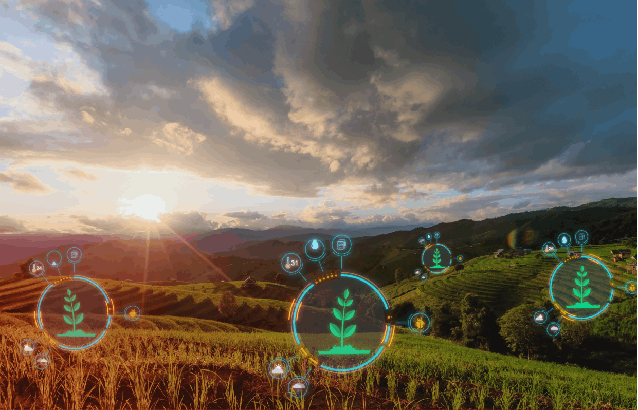 Tarımda Dijital Dönüşüm ve Verimlilik
