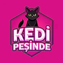 Kedi Peşinde