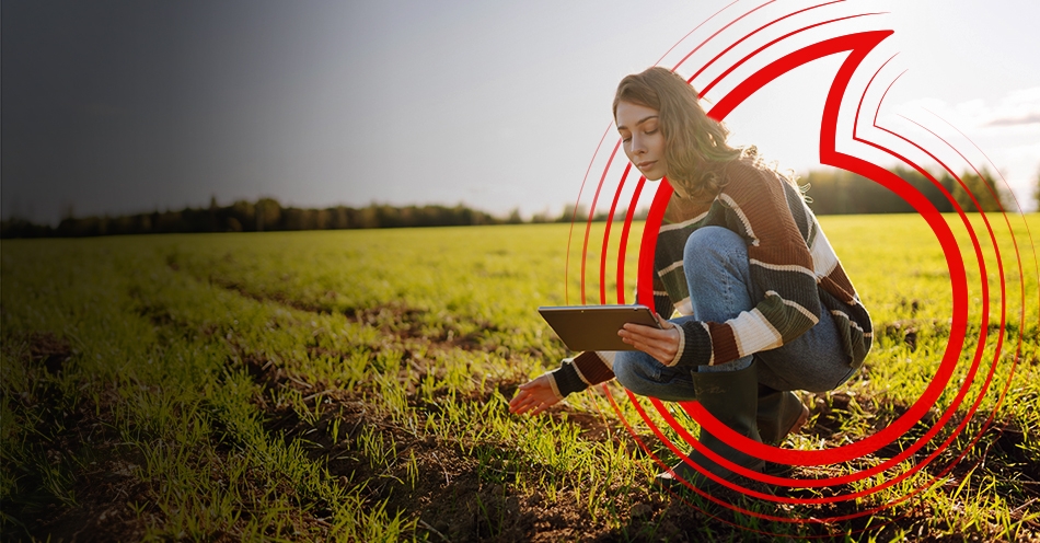 Şimdi alın, hasat zamanı ödeyin!