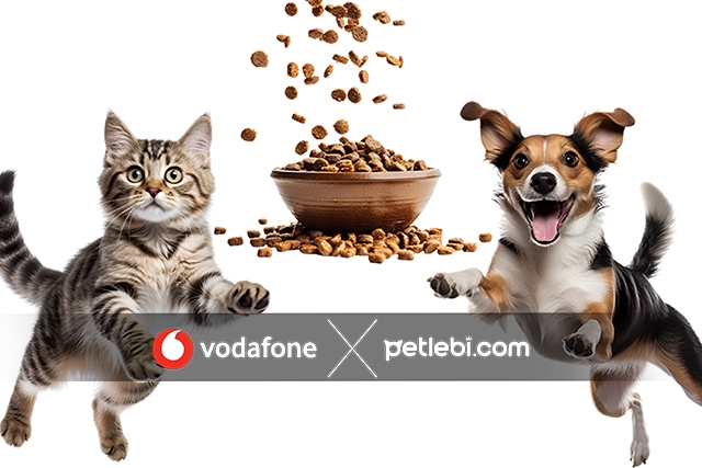Petlebi’de 250 TL indirim