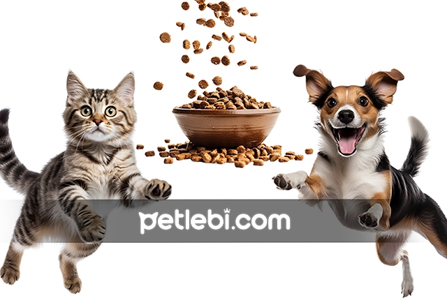 Petlebi’de 250 TL indirim