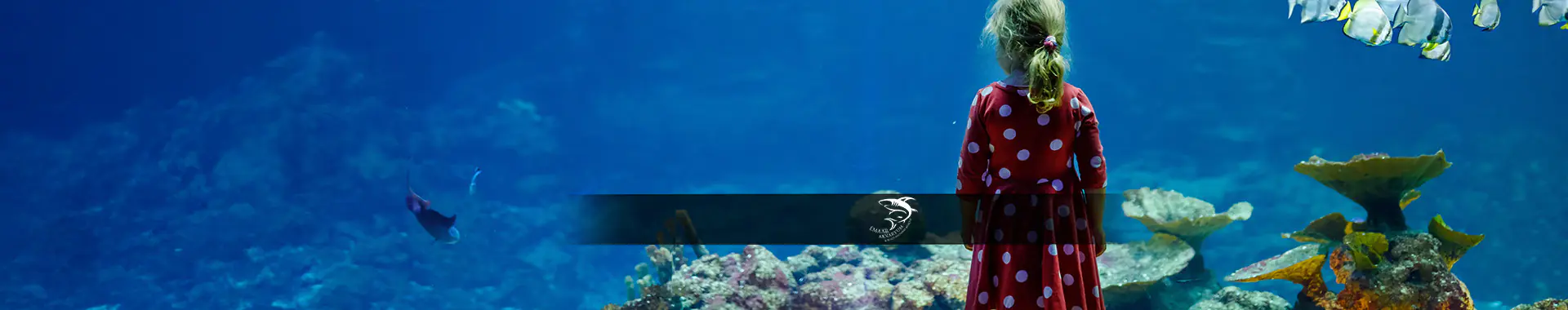 Emaar Akvaryum'da Ücretsiz Çocuk Girişi