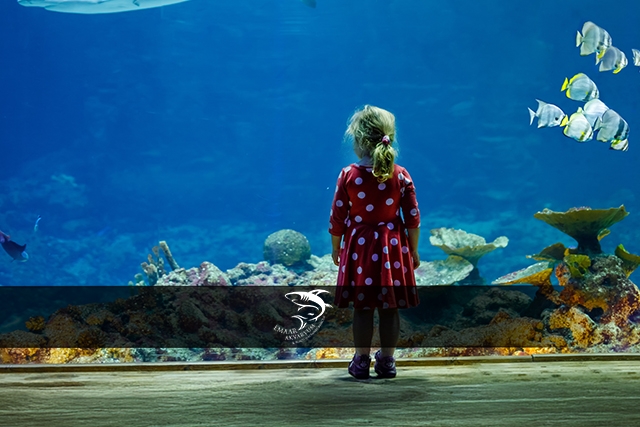 Emaar Akvaryum'da Çocuklara Özel Kampanya