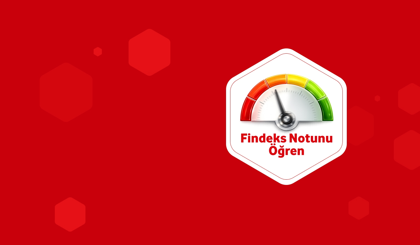 Findeks Kredi Notunuzu Tek SMS'le Öğrenin!