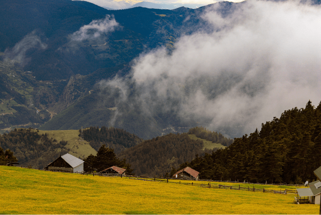 Karadeniz Yayla Rotası: Serin Bir Yaz Kaçamağı