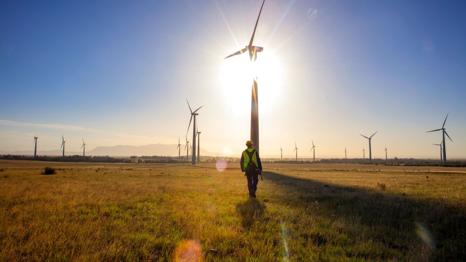 Red Enerji: İklim Değişikliğiyle Mücadelede Verimli Çalışma